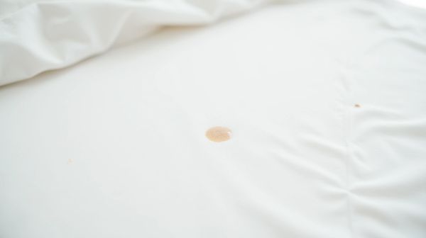 Punaises de lit : les signes qui doivent alerter dès la première nuit