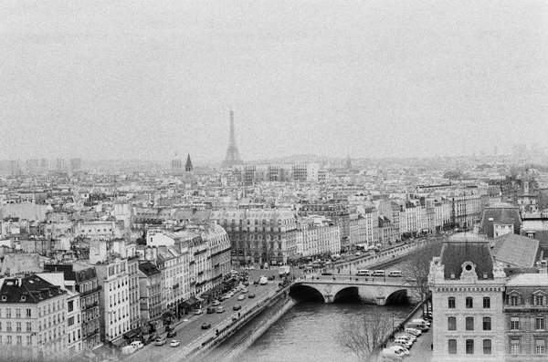 Tout ce qu'il faut savoir sur le storiste à paris
